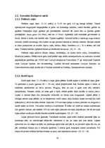 Referāts 'Meža analīze', 34.