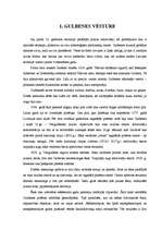 Referāts 'Uzņēmējdarbības vide Gulbenes rajonā', 2.