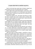 Referāts 'Uzņēmējdarbības vide Gulbenes rajonā', 7.