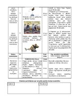 Konspekts 'Vispārējā fiziskā sagatavotība ar personīgo ķermeņa svaru uz "Bosu" bumbas', 3.