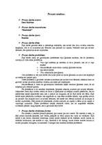 Referāts 'Prozas analīze Daces Rukšānes darbam "Romāniņš"', 1.