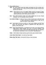 Referāts 'Prozas analīze Daces Rukšānes darbam "Romāniņš"', 3.