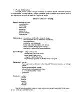 Referāts 'Prozas analīze Daces Rukšānes darbam "Romāniņš"', 4.