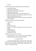 Diplomdarbs 'Vispārējo latviešu dziesmu un deju svētku deju lieluzvedumu vēsturiskā un estēti', 13.