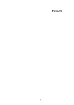 Referāts 'Dziednieciskā tūrisma attīstība, to ietemējošie faktori Rīgas rajonā', 21.