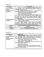 Prakses atskaite 'Kvalifikācijas prakses dienasgrāmata', 8.