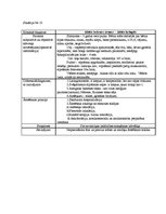 Prakses atskaite 'Kvalifikācijas prakses dienasgrāmata', 11.