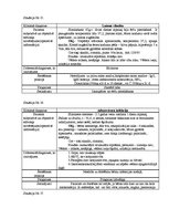 Prakses atskaite 'Kvalifikācijas prakses dienasgrāmata', 13.