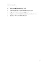 Referāts 'Edvarts Virza', 9.