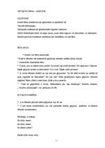 Prakses atskaite 'Prakses dienasgrāmata', 10.