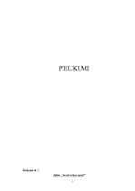 Prakses atskaite 'Prakses dienasgrāmata', 15.