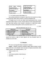 Referāts 'Vērtspapīru tirgus izveide Latvijā', 9.