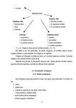 Referāts 'Vērtspapīru tirgus izveide Latvijā', 12.