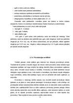 Referāts 'Vērtspapīru tirgus izveide Latvijā', 13.