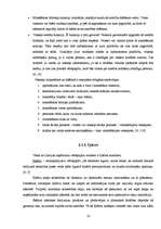 Referāts 'Vērtspapīru tirgus izveide Latvijā', 16.