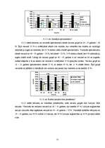 Referāts 'Vērtspapīru tirgus izveide Latvijā', 31.