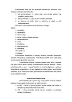 Konspekts '20.gadsimta filosofiskie virzieni', 5.