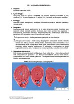 Konspekts 'Miokarda hipertrofija', 4.