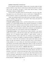 Referāts 'Ģimene un sociālās pārmaiņas', 6.