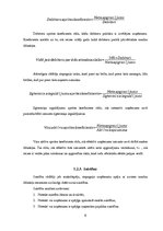 Referāts 'SIA "Skrīveru saldumi" finanšu analīze', 6.