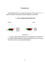 Referāts 'Melnbaltās fotogrāfijas', 16.