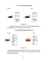 Referāts 'Melnbaltās fotogrāfijas', 17.