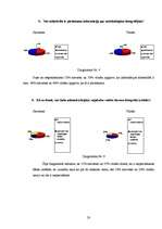 Referāts 'Melnbaltās fotogrāfijas', 20.