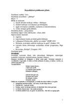 Konspekts 'Pasākuma plāns "Meteņi"', 1.