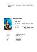Referāts 'Budisma vēsture', 4.