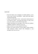 Referāts 'Militārās tematikas atspoguļojums 1956.gada kinožurnālā "Padomju Latvija"', 5.
