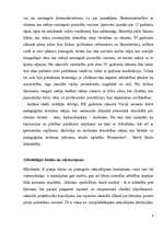 Referāts 'Pedofilija', 4.