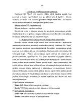 Prakses atskaite 'Prakses atskaite uzņēmumā SIA "Kante"', 23.