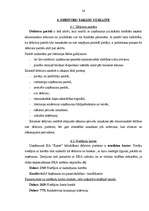 Prakses atskaite 'Prakses atskaite uzņēmumā SIA "Kante"', 24.