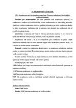 Prakses atskaite 'Prakses atskaite uzņēmumā SIA "Kante"', 41.