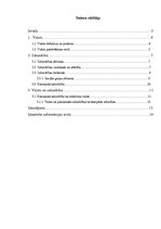 Referāts 'Valsts un sabiedrības attiecības', 2.