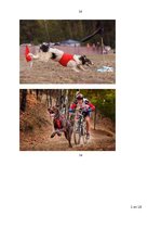 Referāts 'Draugs uz četrām ķepām', 16.