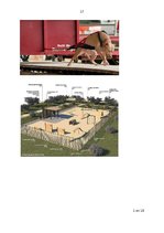 Referāts 'Draugs uz četrām ķepām', 17.