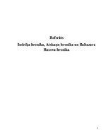 Referāts 'Indriķa hronika, Atskaņu hronika un Baltazara Rusova hronika', 1.