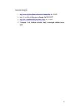 Referāts 'Volfgangs Velšs "Estētikas robežas"', 6.