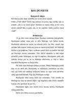 Konspekts 'R. Blaumanis "Raudupiete"', 2.