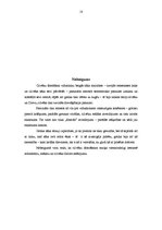 Referāts 'Gotikas ietekme uz Rīgas arhitektūru viduslaikos', 18.