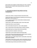 Referāts 'Franšīzes līgums kā viens no komercdarījumu veidiem', 13.