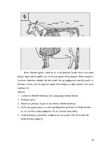 Referāts 'Moksa terapijas pielietošana govs ārstēšanai', 9.