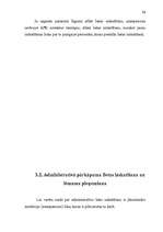 Diplomdarbs 'Lietvedības nodrošināšana administratīvo pārkāpumu lietās par ceļu satiksmes not', 52.