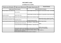 Konspekts 'SWOT analīze par Baltijas Krievu institūtu', 1.