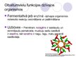 Prezentācija 'Olbaltumvielas', 2.