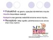 Prezentācija 'Olbaltumvielas', 3.