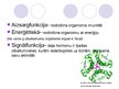 Prezentācija 'Olbaltumvielas', 5.