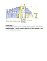 Referāts 'Radiācija', 6.