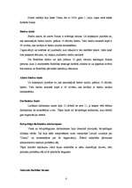 Eseja 'Organizācijas "Sabiedrība par atklātību Delna” analīze', 4.